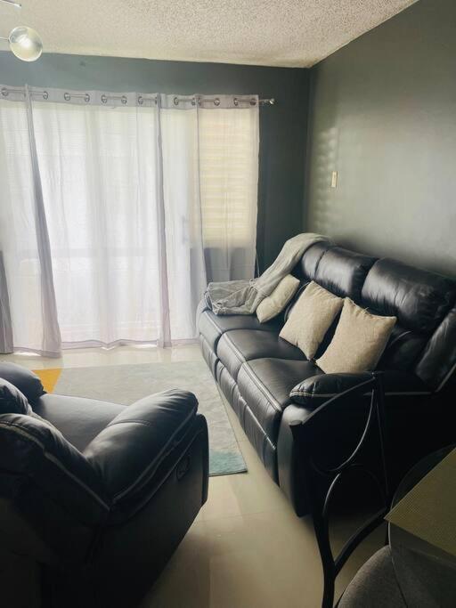 New Kingston Retreat Apartment Ngoại thất bức ảnh