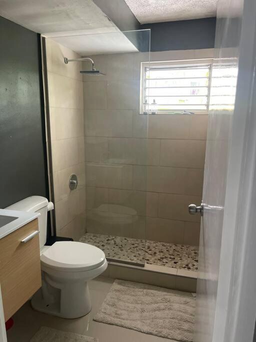 New Kingston Retreat Apartment Ngoại thất bức ảnh