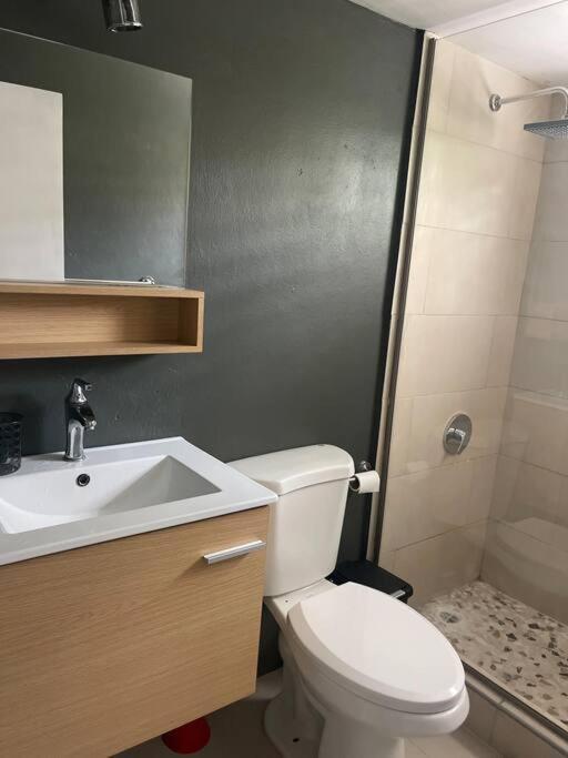 New Kingston Retreat Apartment Ngoại thất bức ảnh