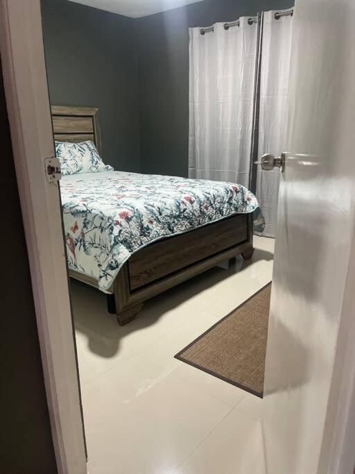 New Kingston Retreat Apartment Ngoại thất bức ảnh